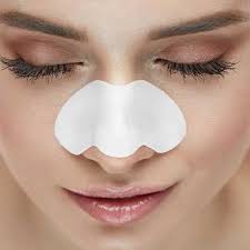 APK Nose Pore Strips 10 Strips shemart